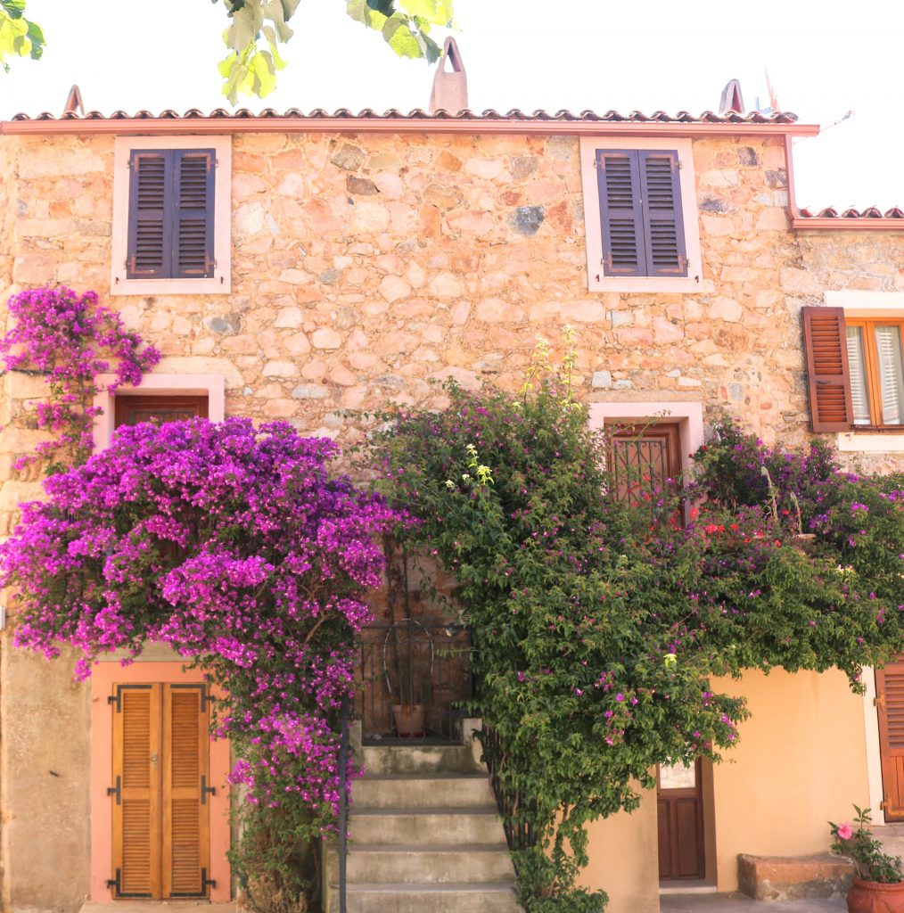 Bougainvilliers et maison village de Piana Corse