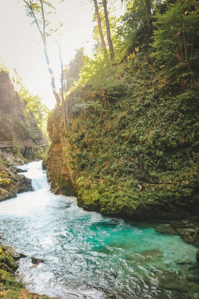 Gorges de Vintgar Slovénie