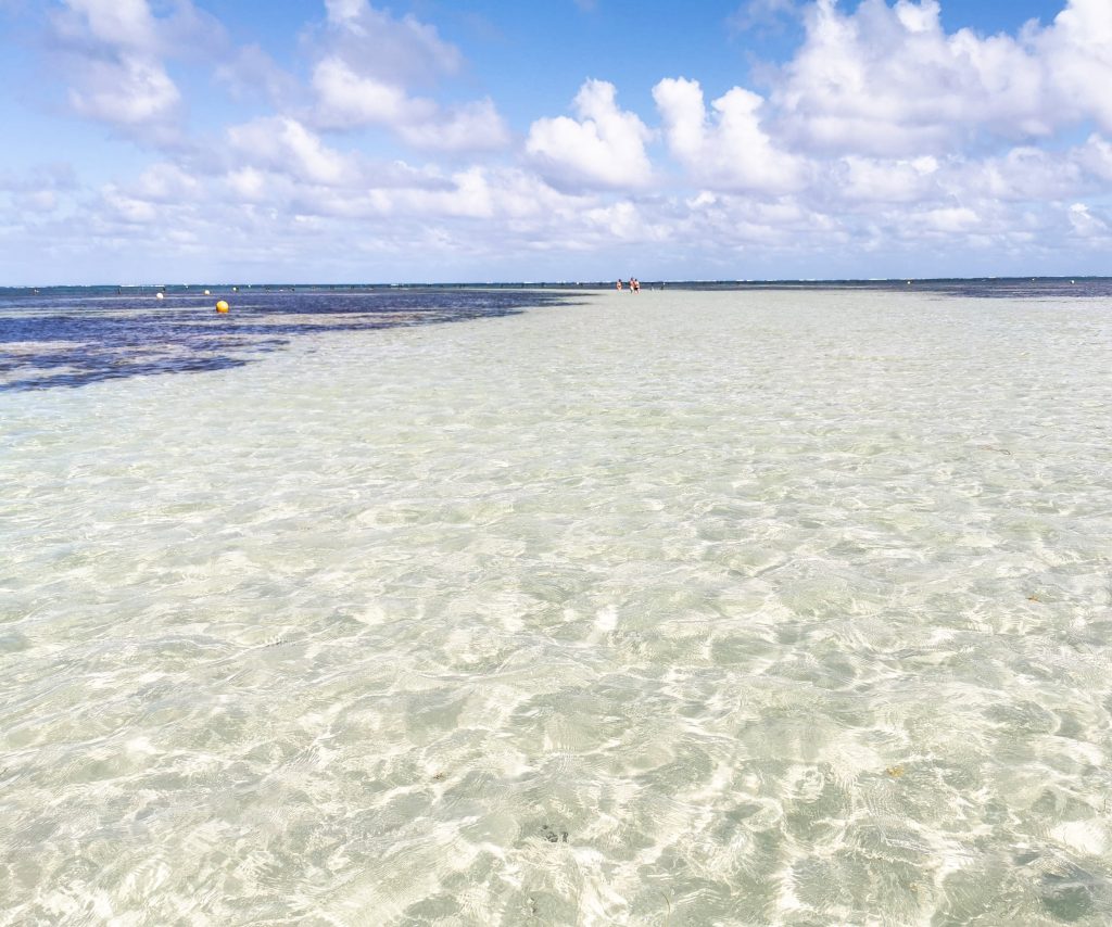 Pointe Faula Fonds Blancs