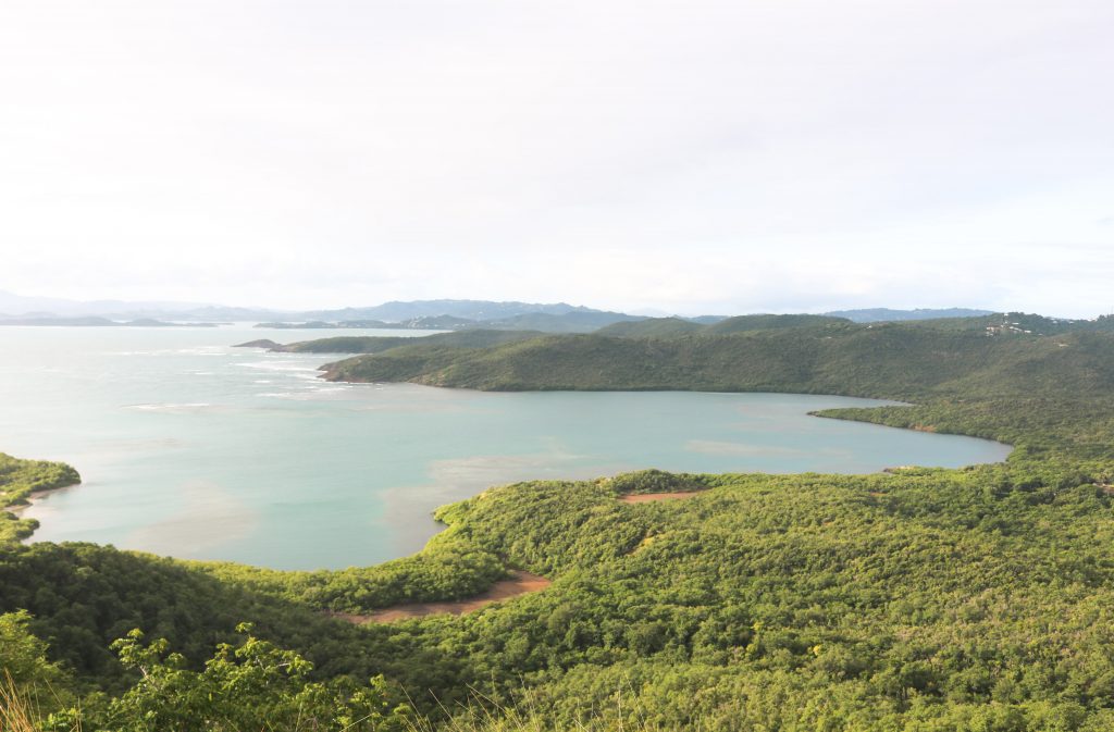 Vue du phare de la presqu'ile de la caravelle