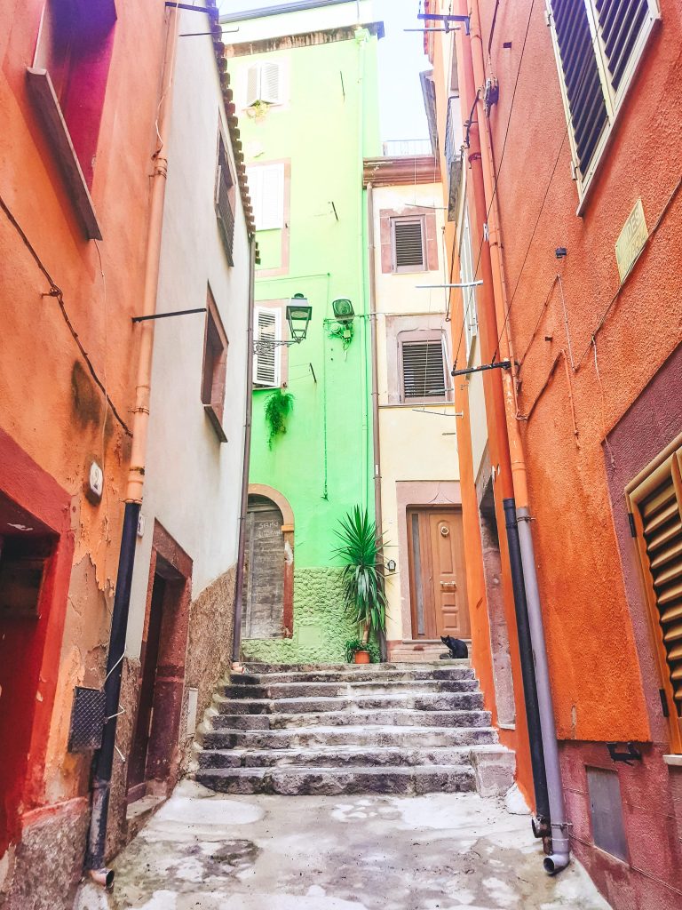 Ruelle Bosa