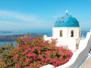 Fleurs et dome Imerovigli Santorin