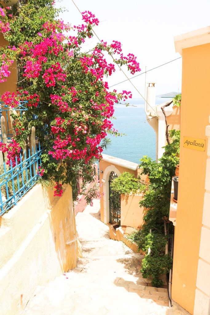 ruelle et fleurs village d'assos