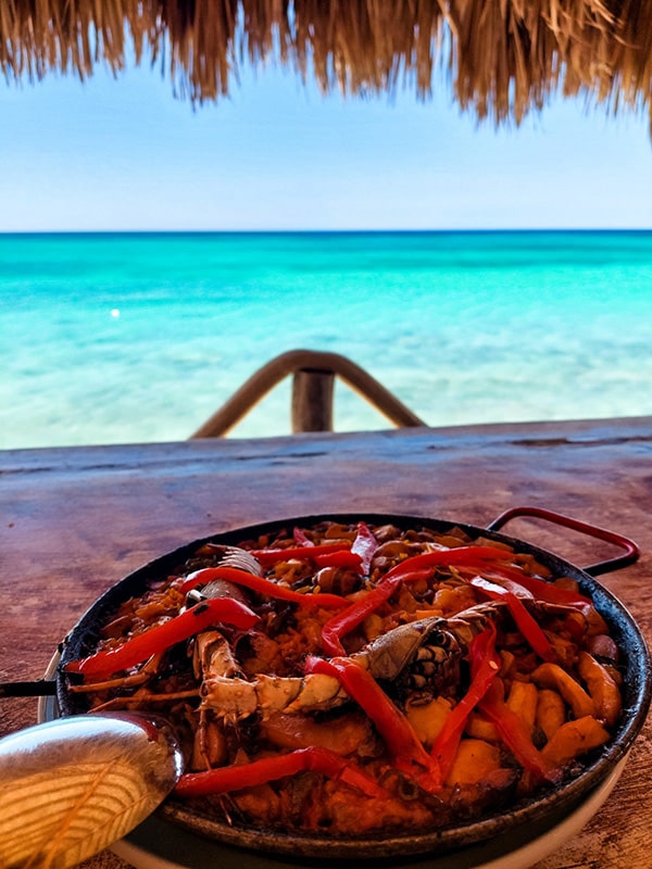 Paella Bahia de las Aguilas vue mer