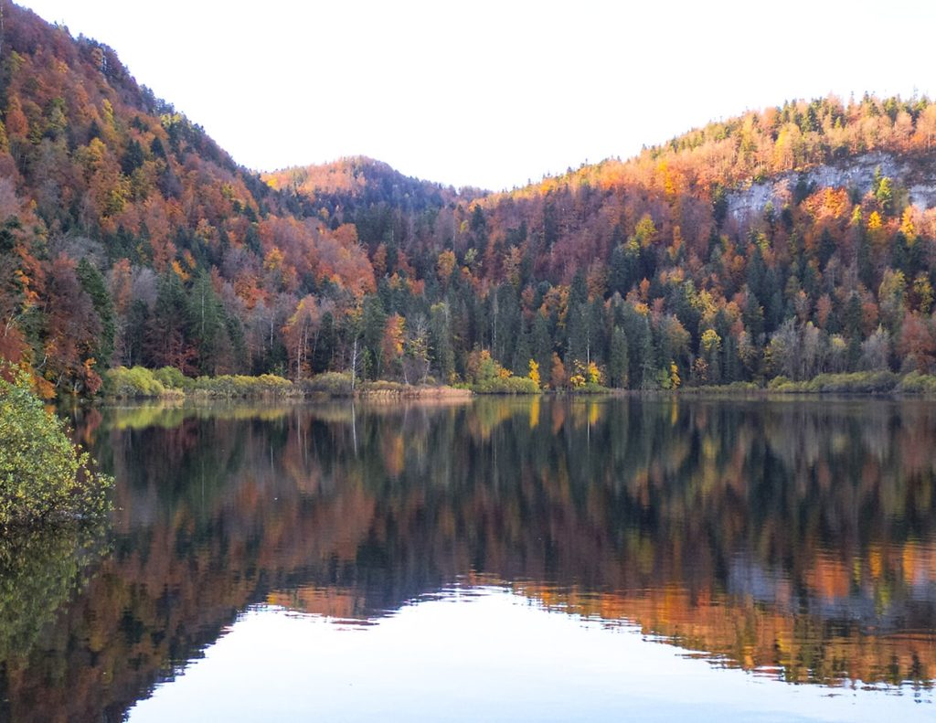 Lac de Bonlieu reflet d'automne