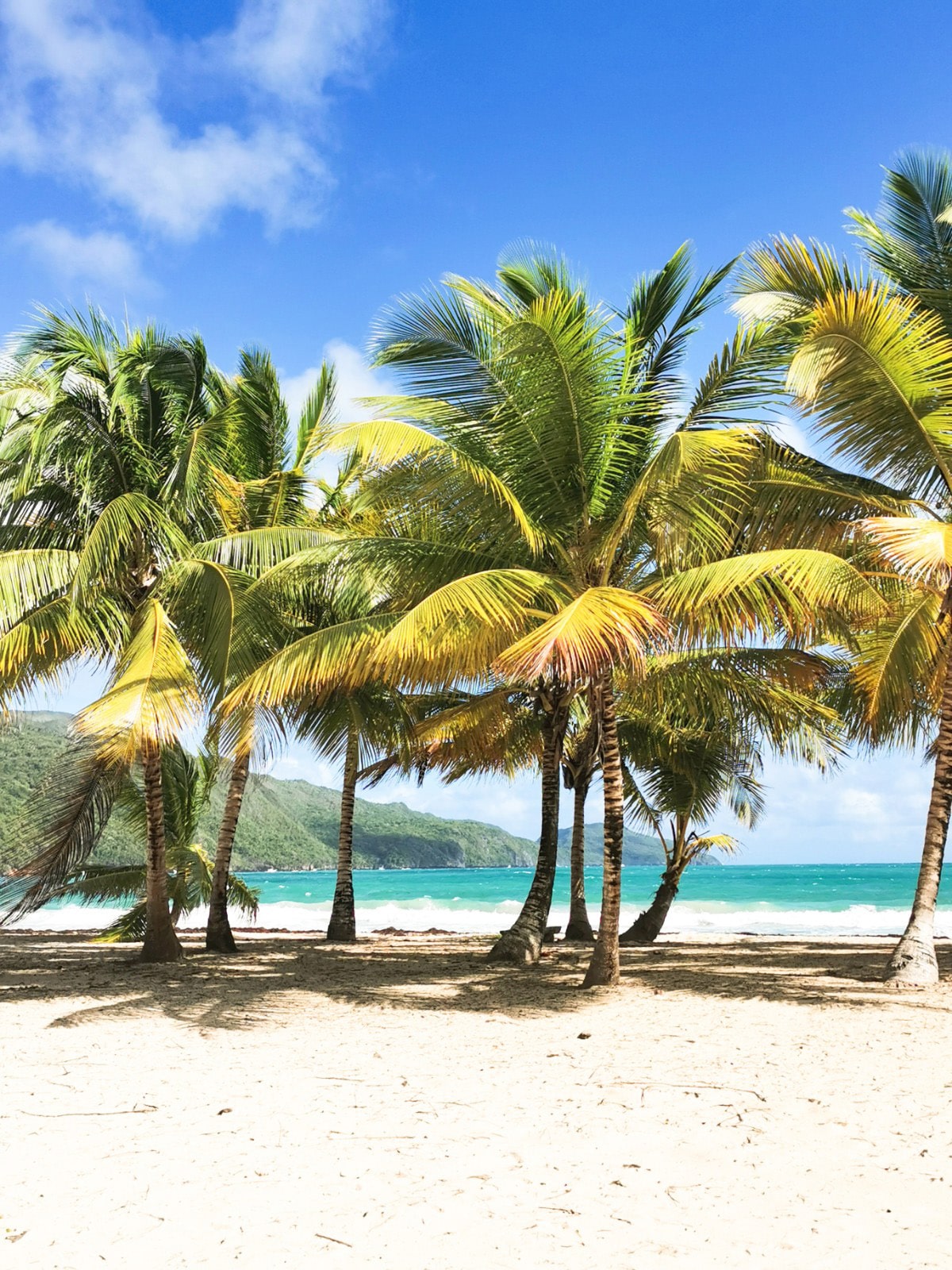 Plage El Rincon - République Dominicaine