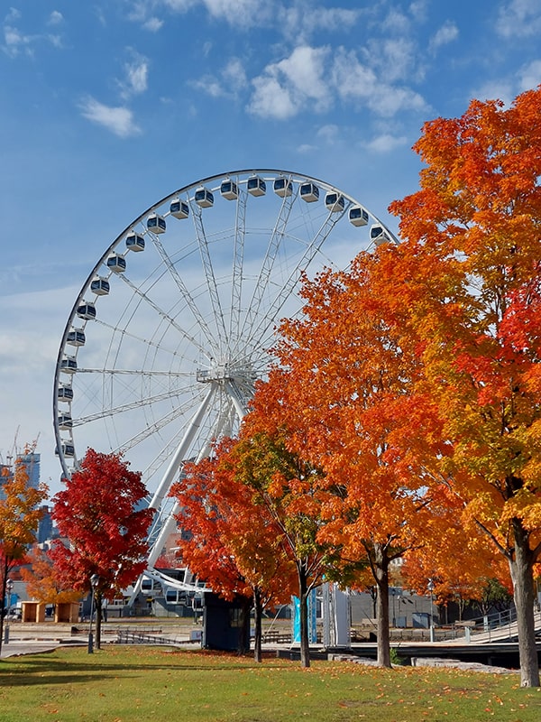 Grande roue Montreal