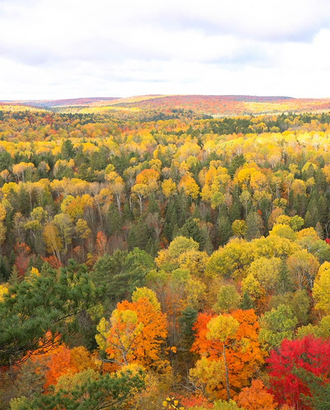 Randonnée au parc Algonquin en automne