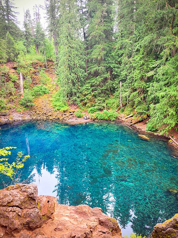 Tamoolitch Falls - Oregon Blue Pool