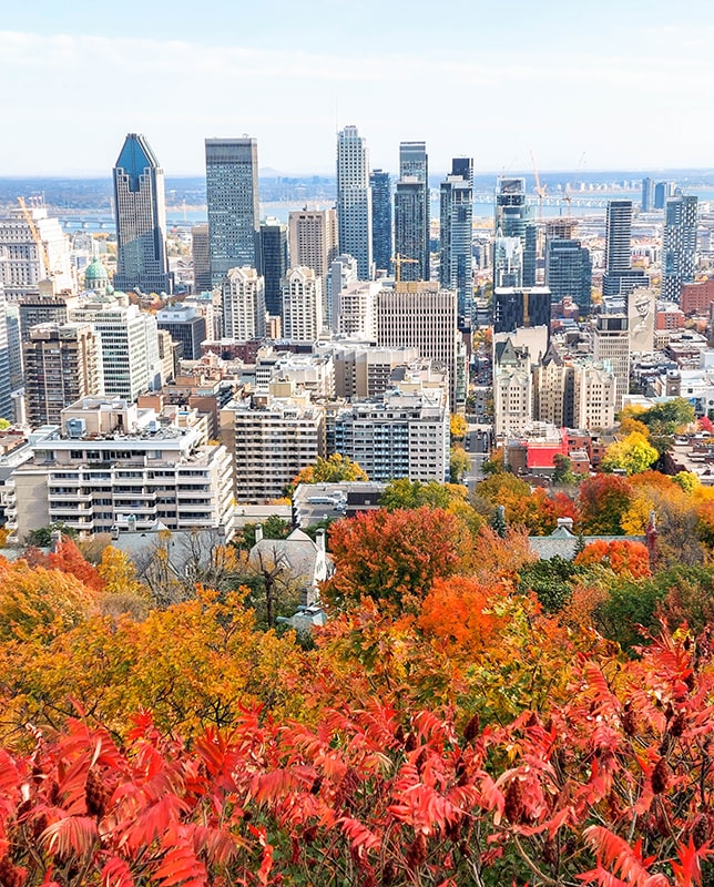 Vue sur Montreal depuis Mont Royal