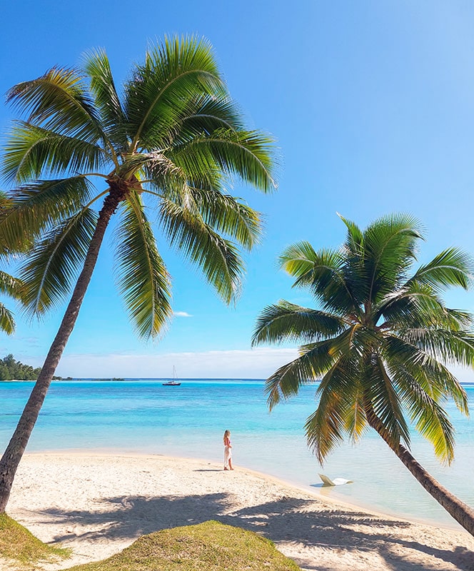 Plage des Tipaniers Moorea