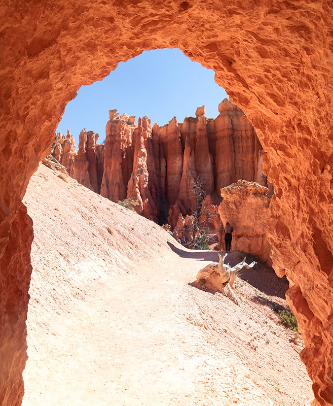 Combiné queens gardent trail et navajo loop trail