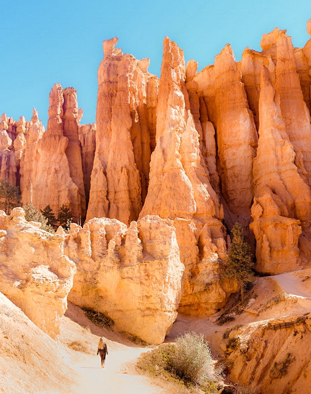 Hoodoos Bryce Canyon