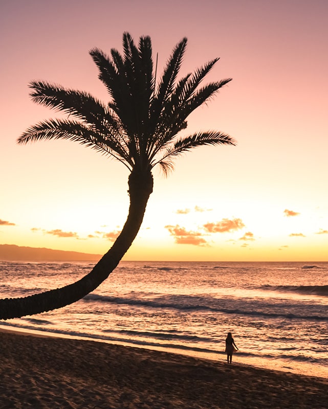 Sunset beach Oahu