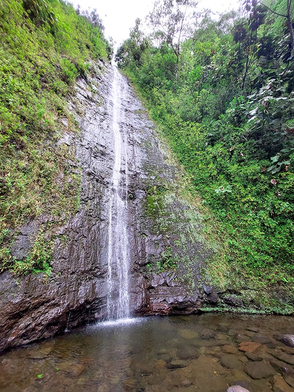 cascade de Manoa