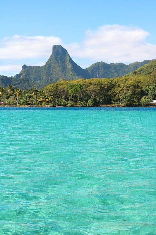 Que faire à Moorea