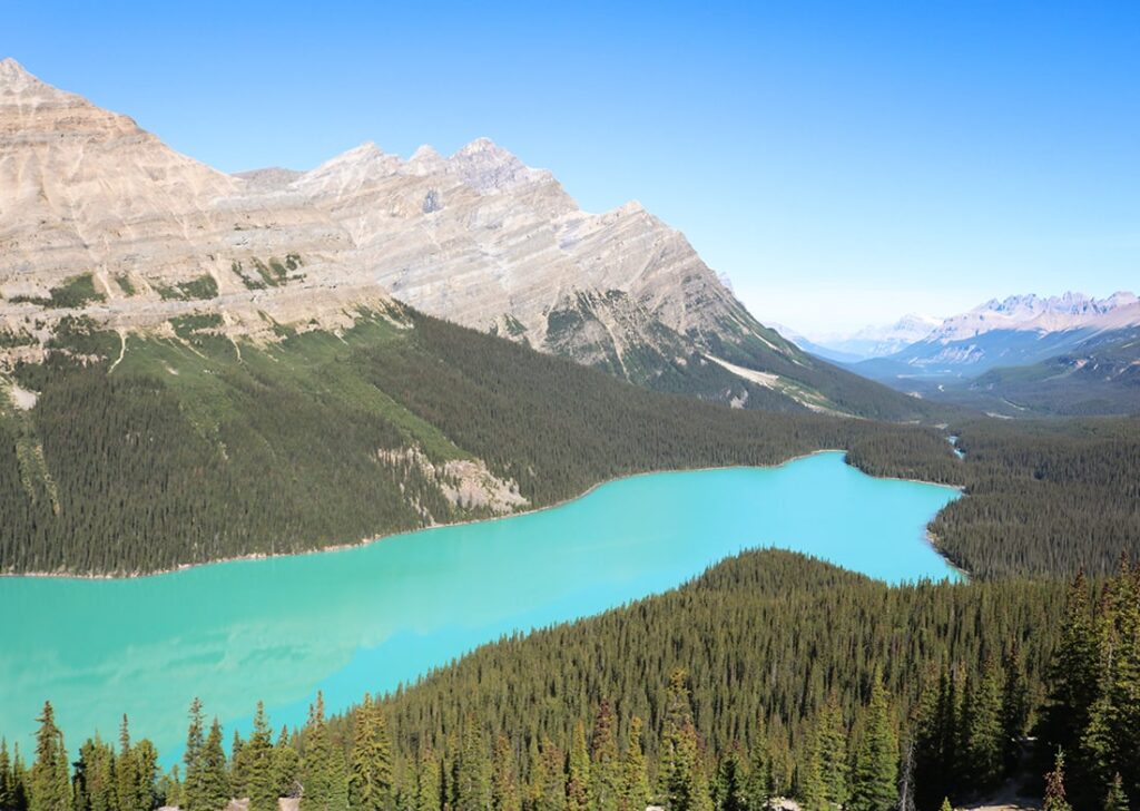 Vue sur le lac Peyto