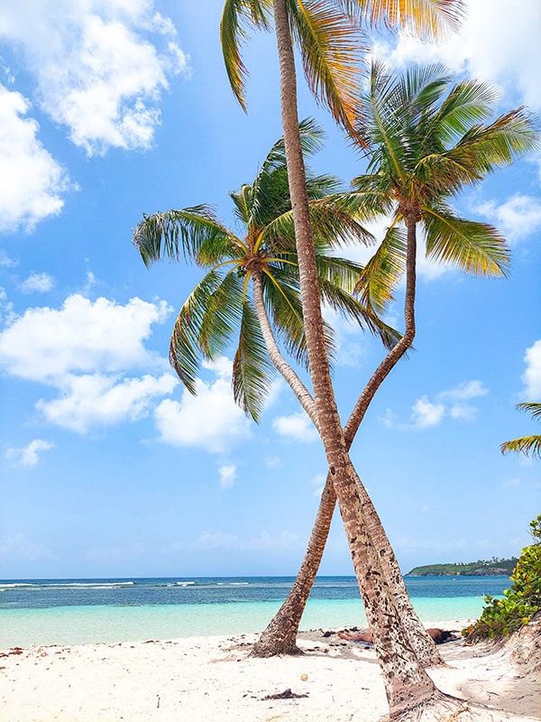 Les plus belles plages de Guadeloupe