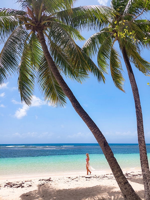 Plage de la caravelle cocotier