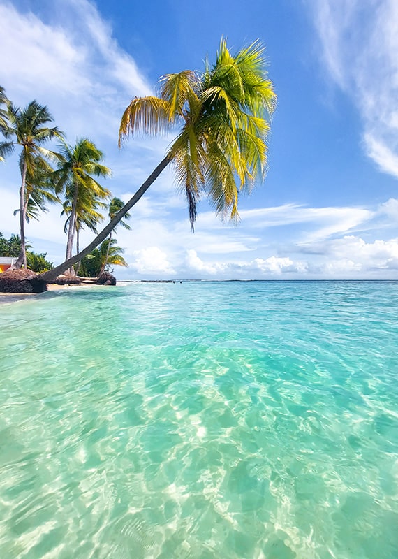 Plage la Caravelle Guadeloupe