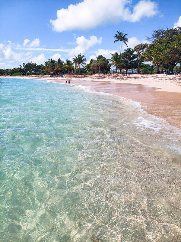 Saint François plage de raisins clairs