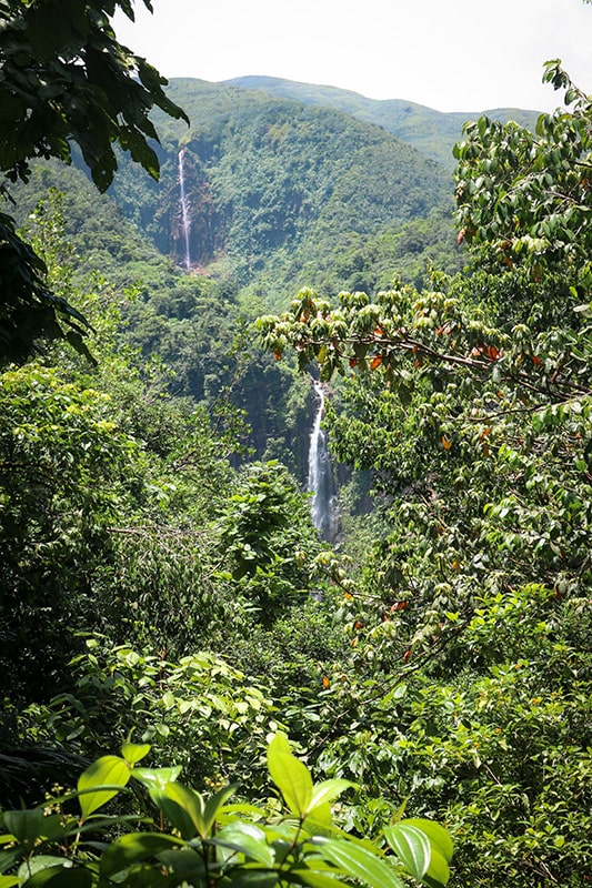 Les chutes du Carbet